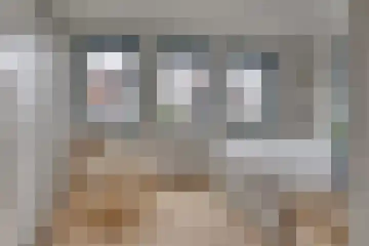 Viswater 74 Houten thumbnail 18