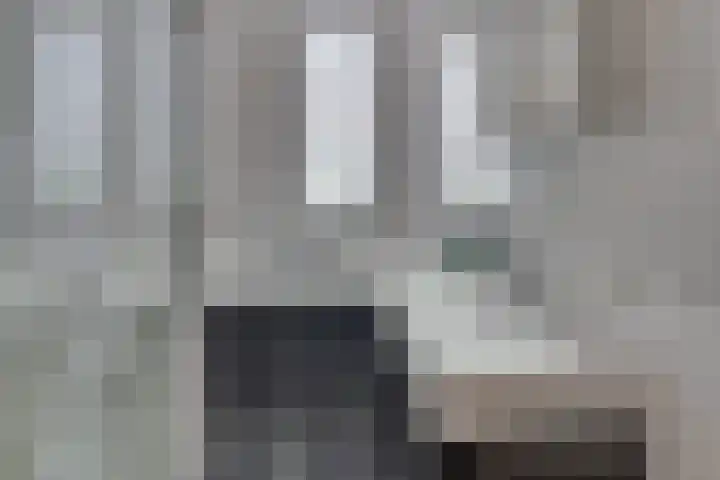 Viswater 74 Houten thumbnail 20