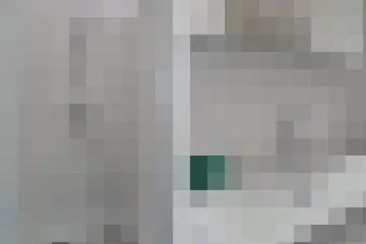 Viswater 74 Houten thumbnail 21