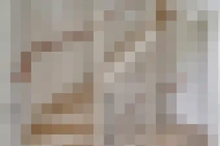 Viswater 74 Houten thumbnail 23