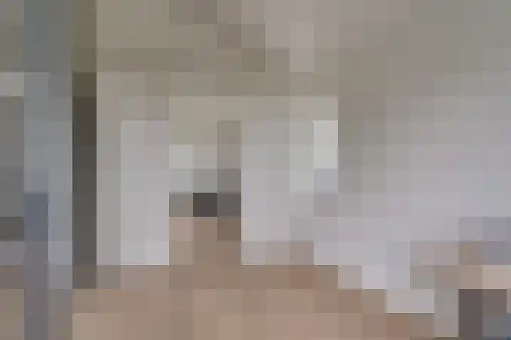 Viswater 74 Houten thumbnail 31