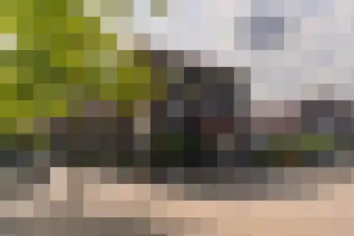 Viswater 74 Houten thumbnail 35