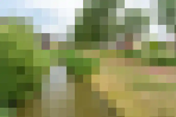Viswater 74 Houten thumbnail 37