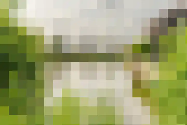 Viswater 74 Houten thumbnail 38