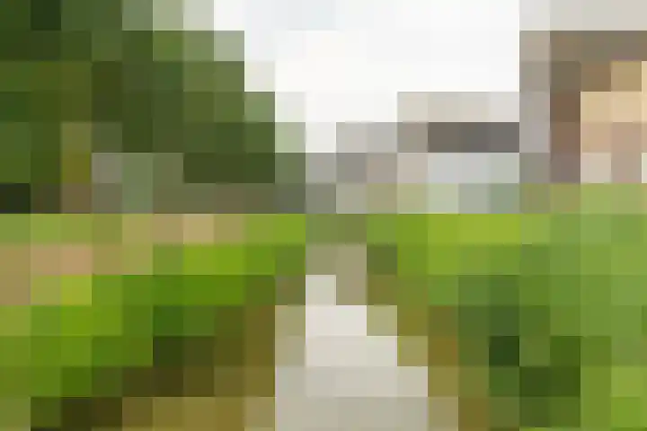 Viswater 74 Houten thumbnail 39
