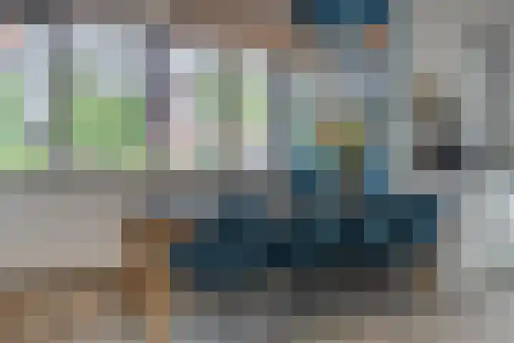 Viswater 74 Houten thumbnail 5