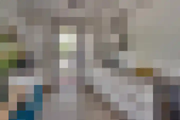 Viswater 74 Houten thumbnail 7