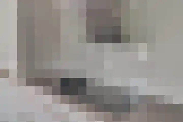 Viswater 74 Houten thumbnail 8