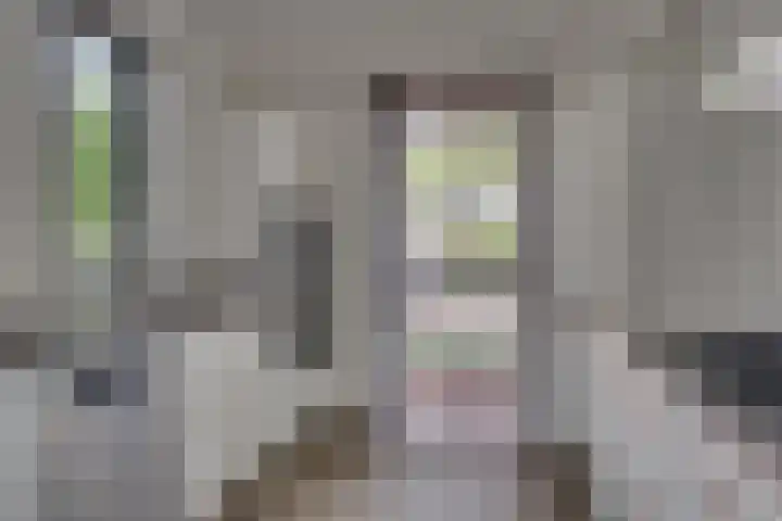 Viswater 74 Houten thumbnail 9