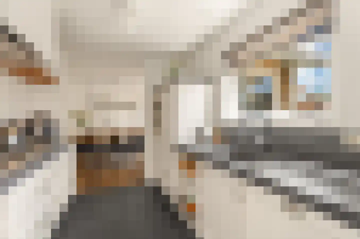 Visweg 1 Egmond-Binnen thumbnail 16