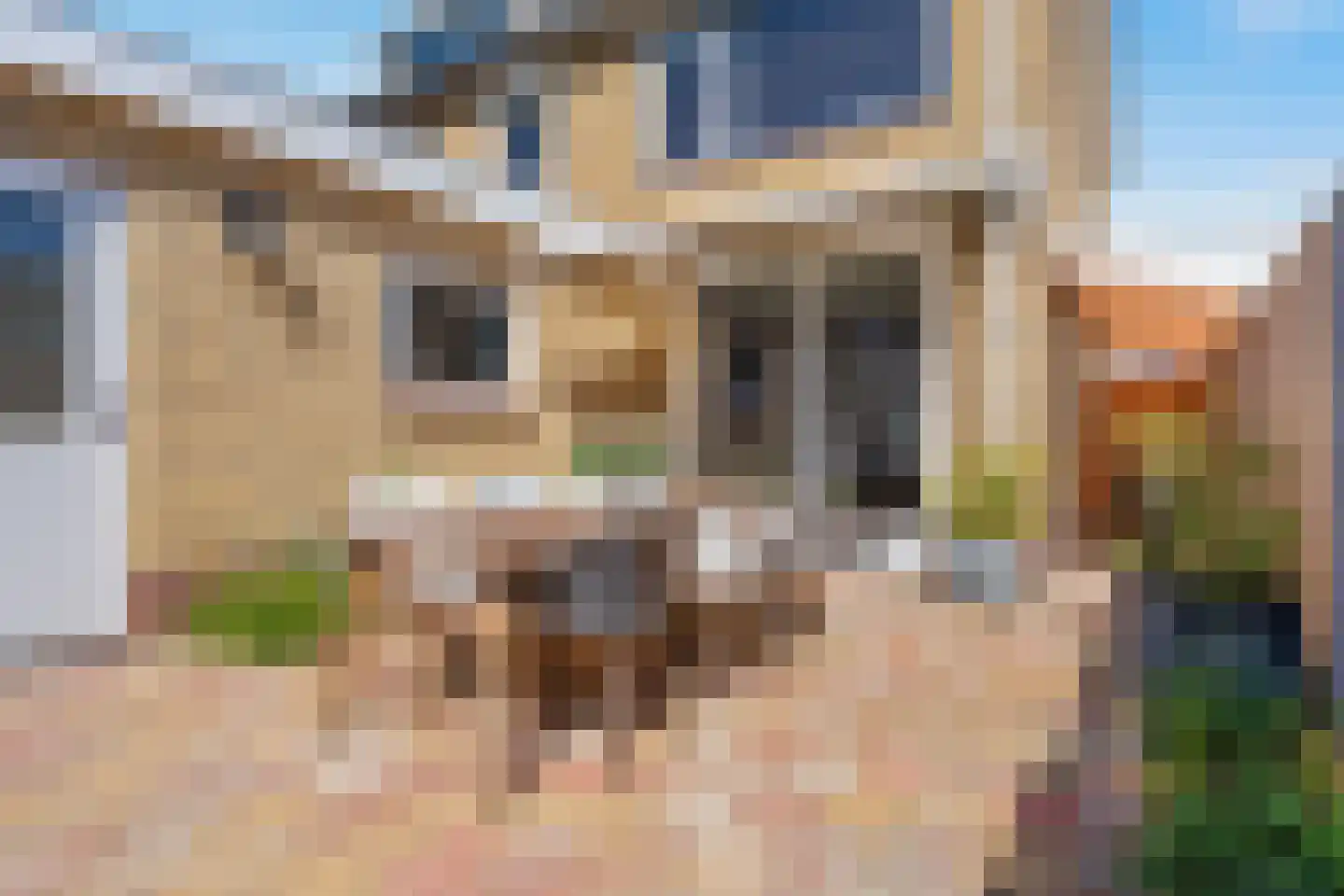 Visweg 1 Egmond-Binnen thumbnail 41