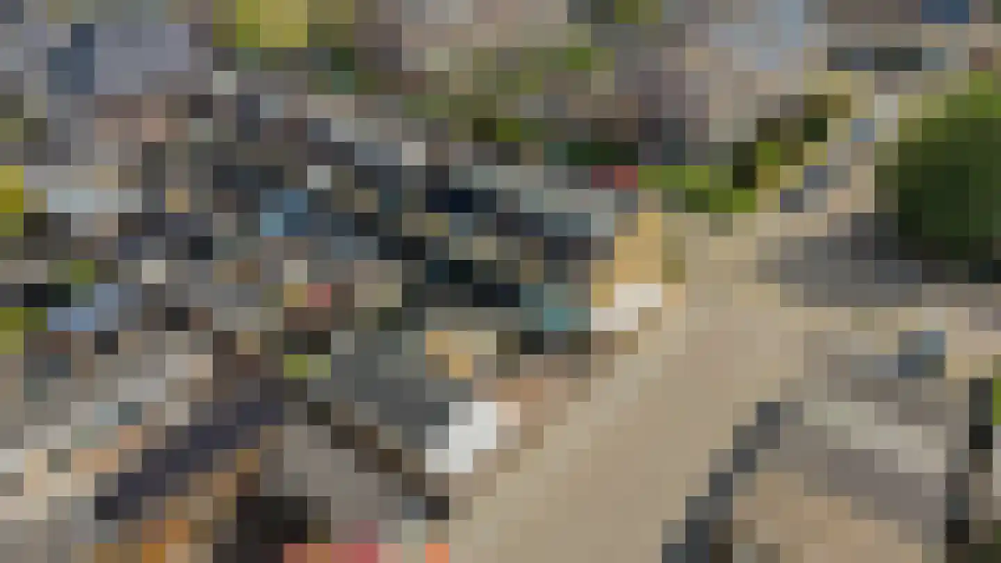 Visweg 1 Egmond-Binnen thumbnail 46