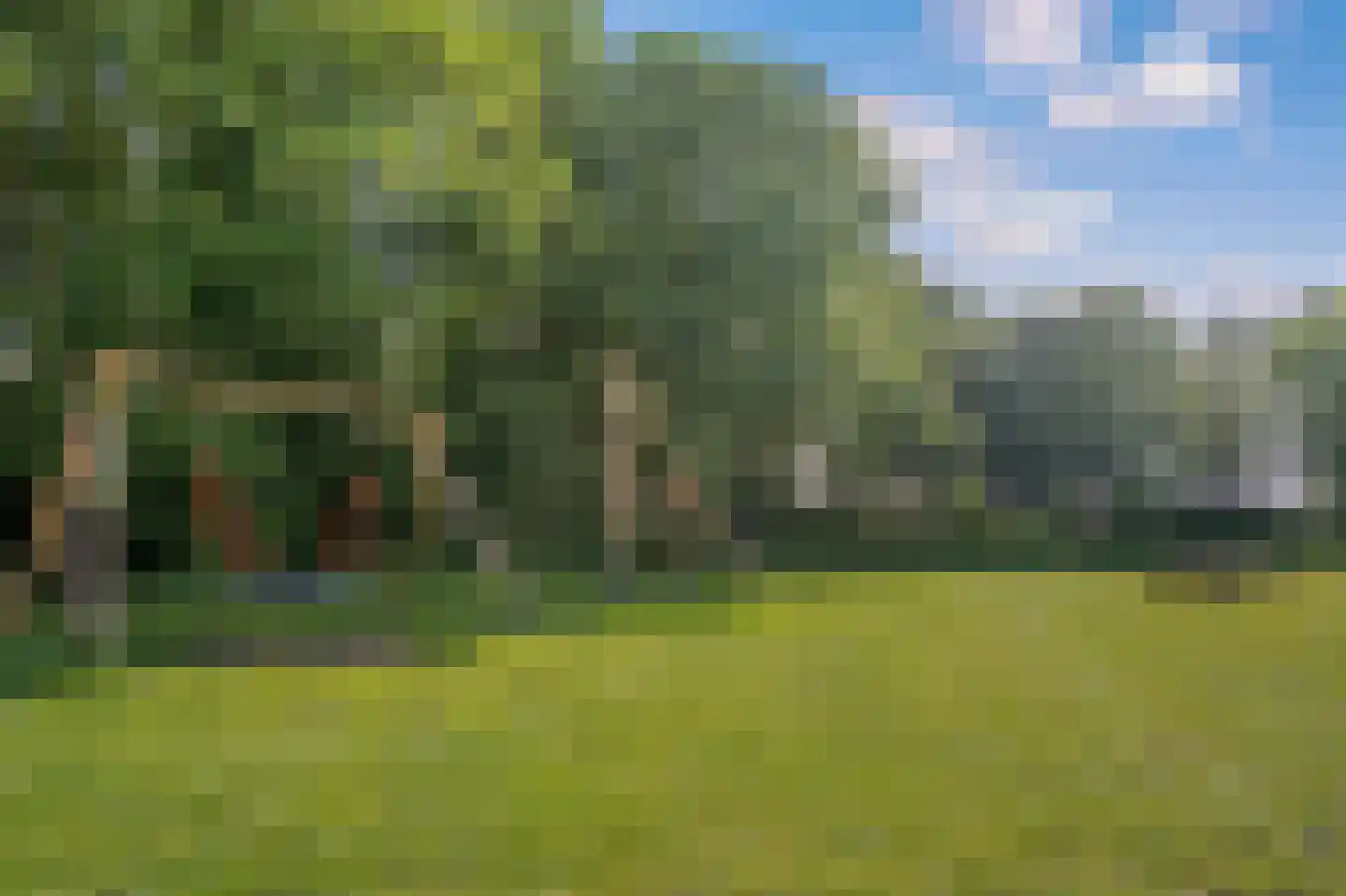 Visweg 1 Egmond-Binnen thumbnail 49