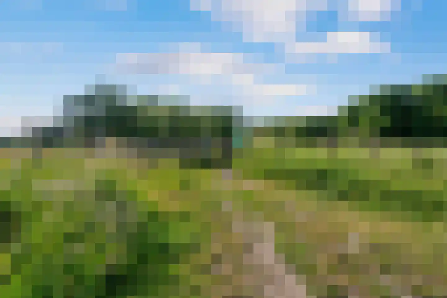 Visweg 1 Egmond-Binnen thumbnail 50