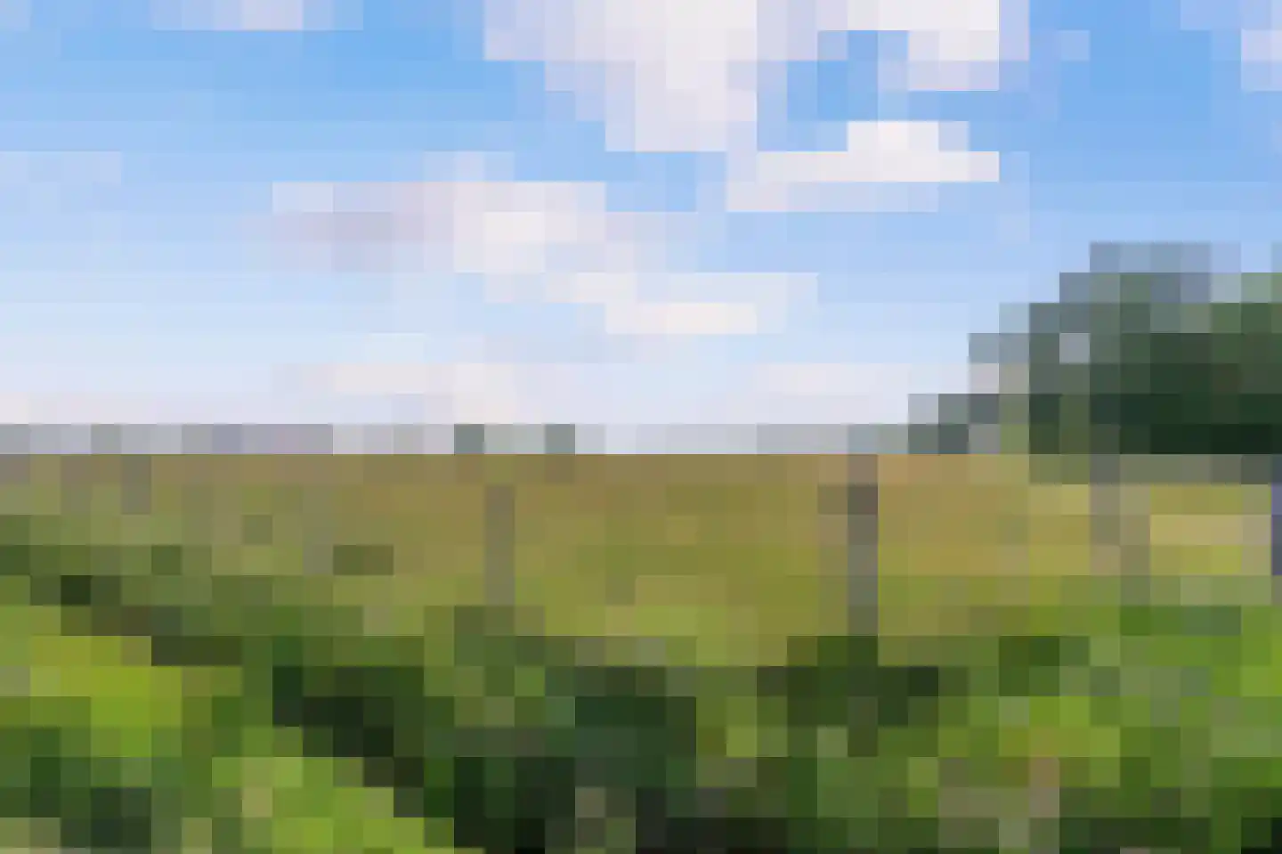 Visweg 1 Egmond-Binnen thumbnail 51