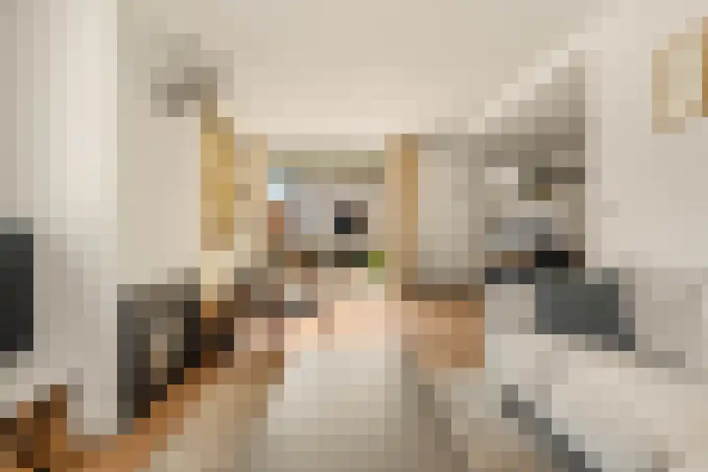 Visweg 1 Egmond-Binnen thumbnail 9