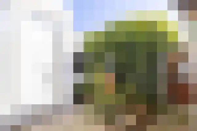 Visweg 10 Egmond-Binnen thumbnail 31