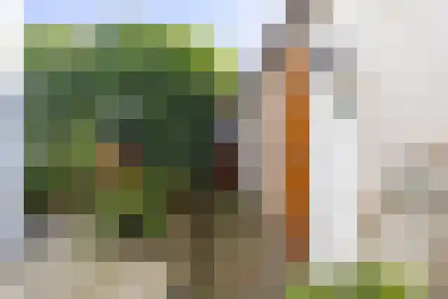 Visweg 10 Egmond-Binnen thumbnail 32