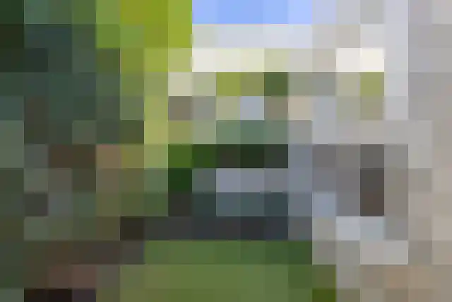 Visweg 10 Egmond-Binnen thumbnail 33