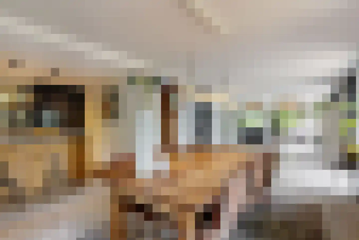 Visweg 2 c Limmen thumbnail 24