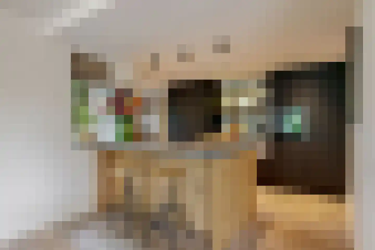 Visweg 2 c Limmen thumbnail 25