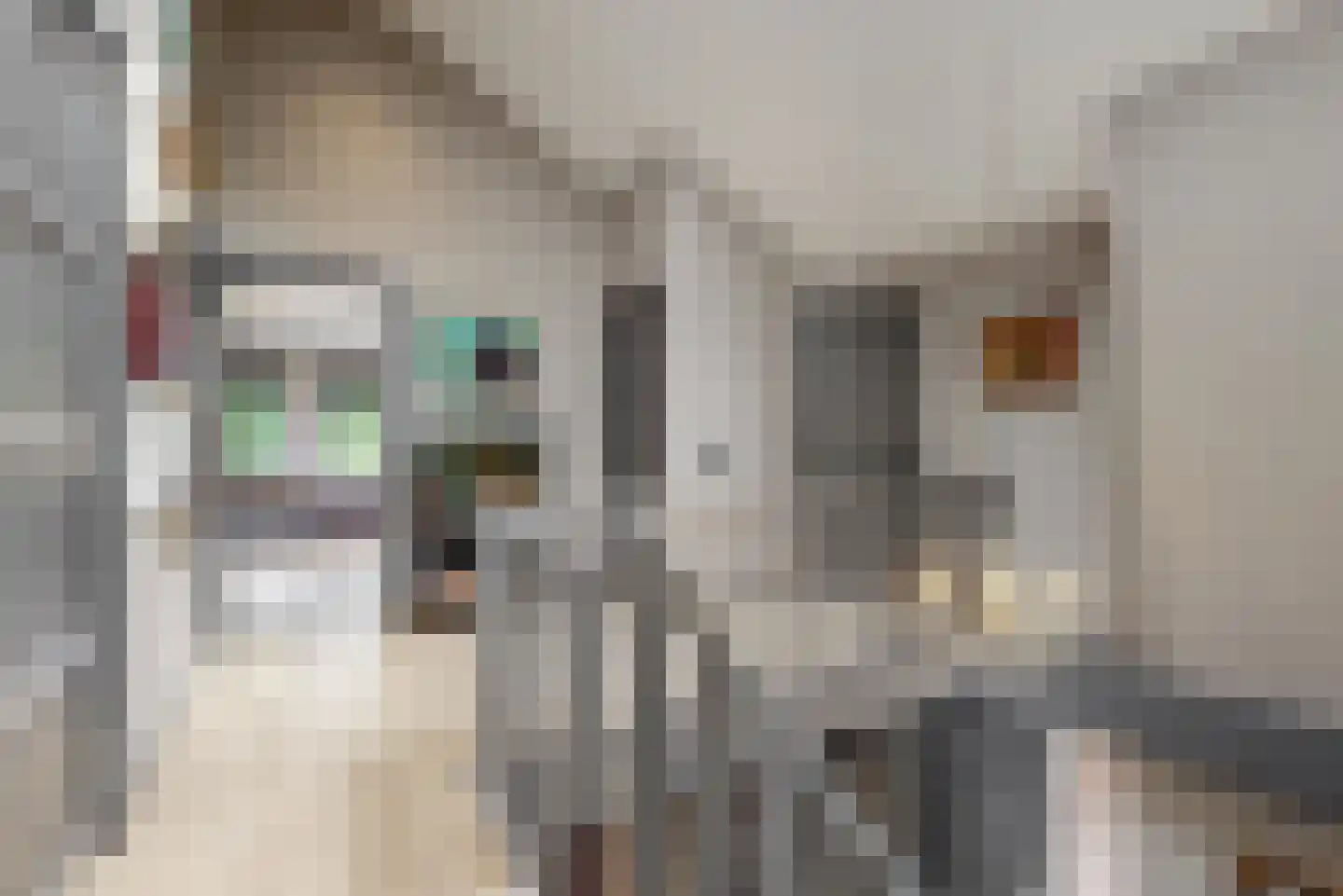 Visweg 2 c Limmen thumbnail 33