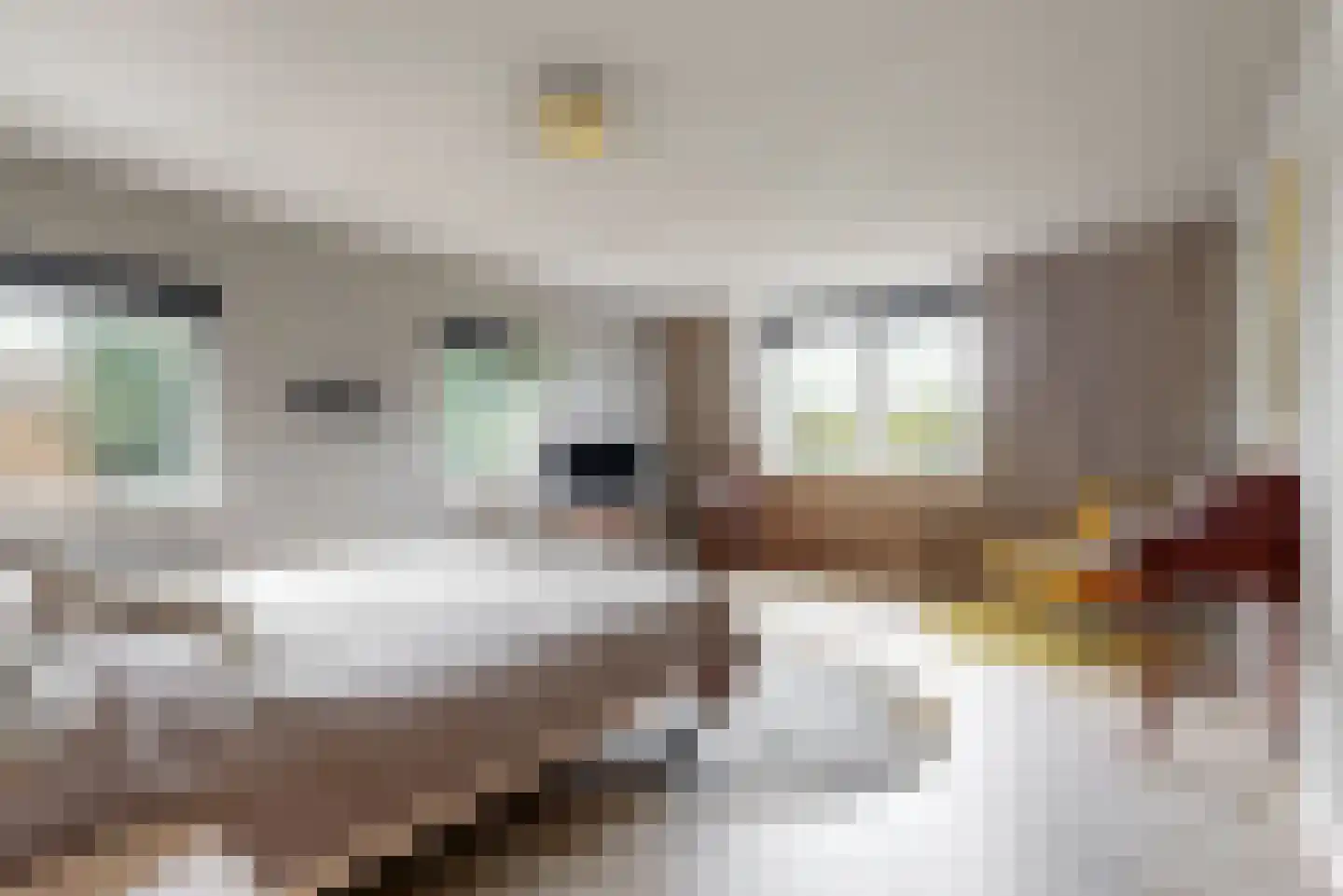 Visweg 2 c Limmen thumbnail 34