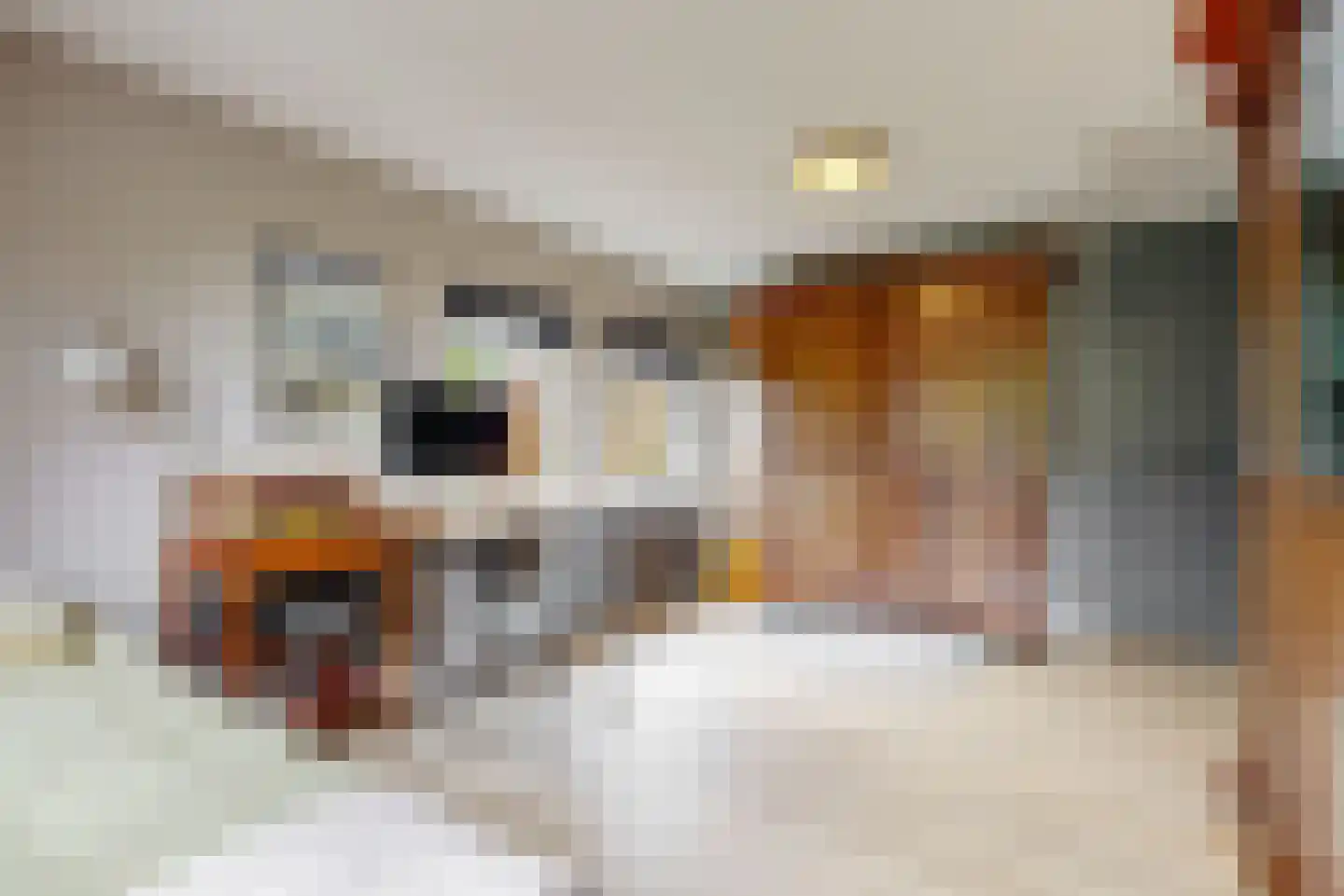 Visweg 2 c Limmen thumbnail 37