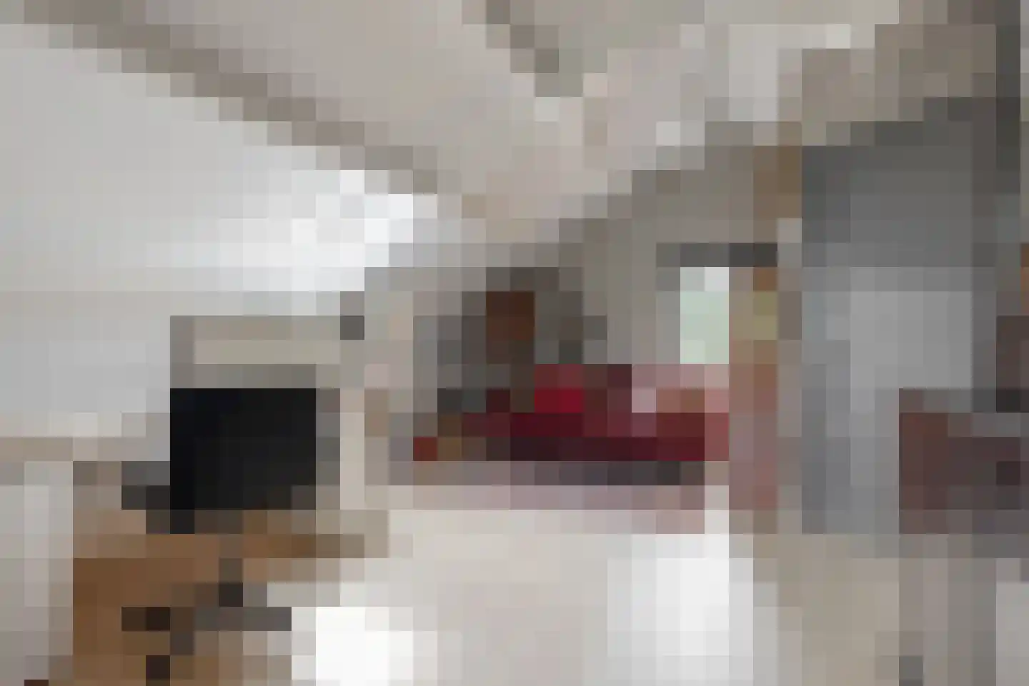 Visweg 2 c Limmen thumbnail 39
