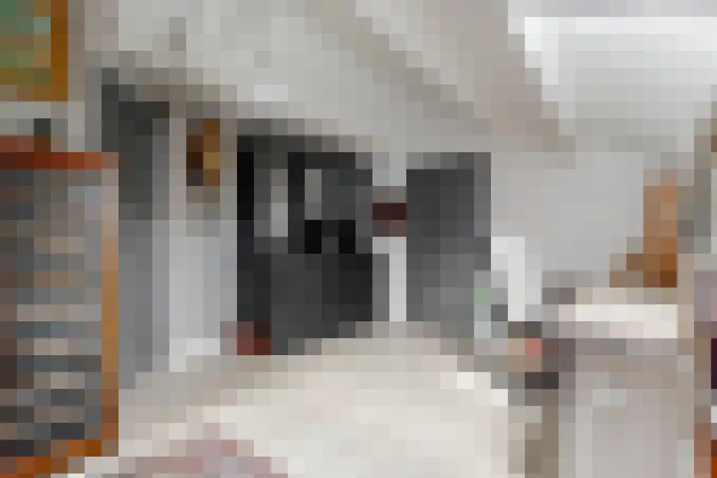 Visweg 2 c Limmen thumbnail 40