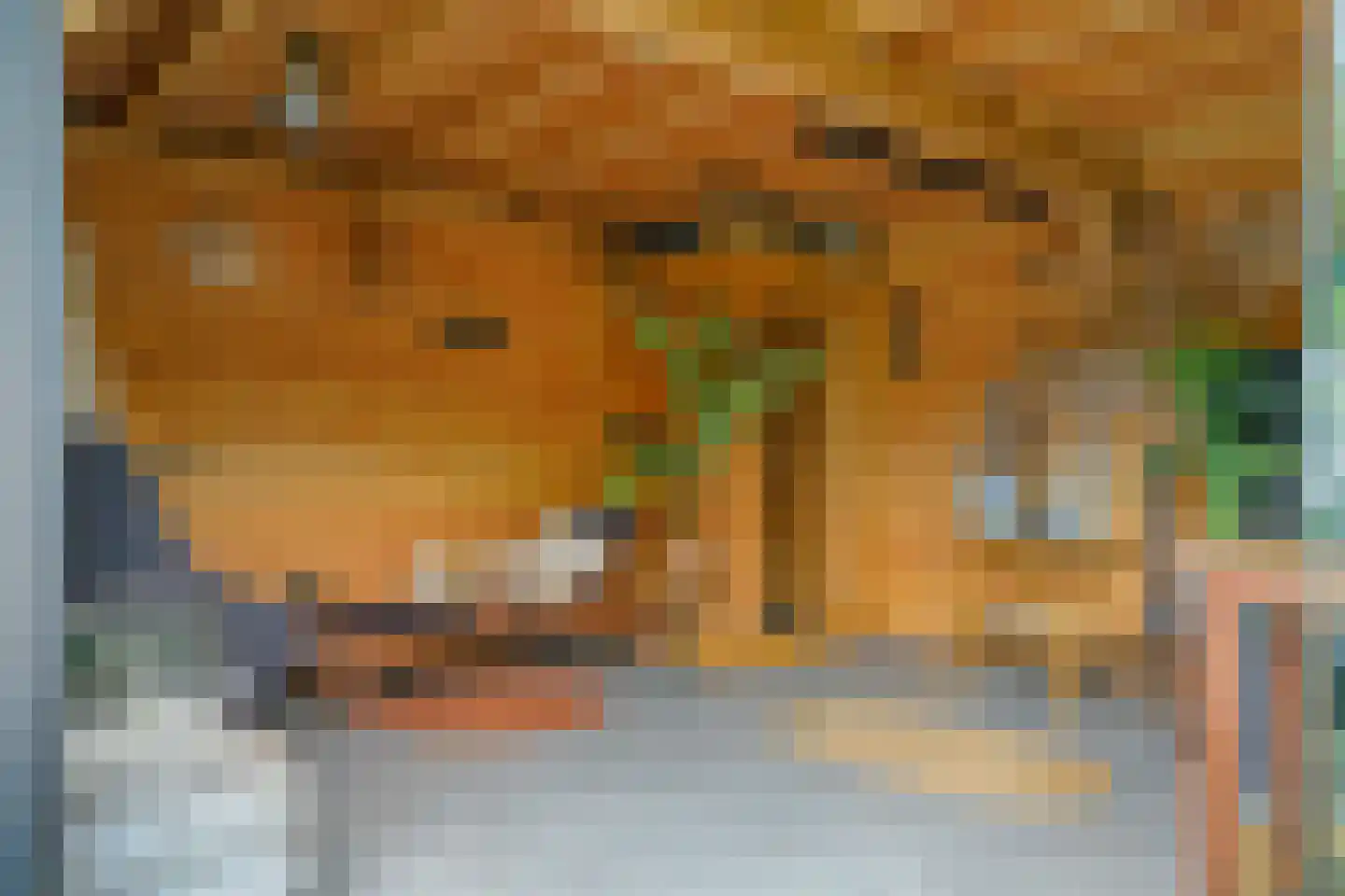 Visweg 2 c Limmen thumbnail 5
