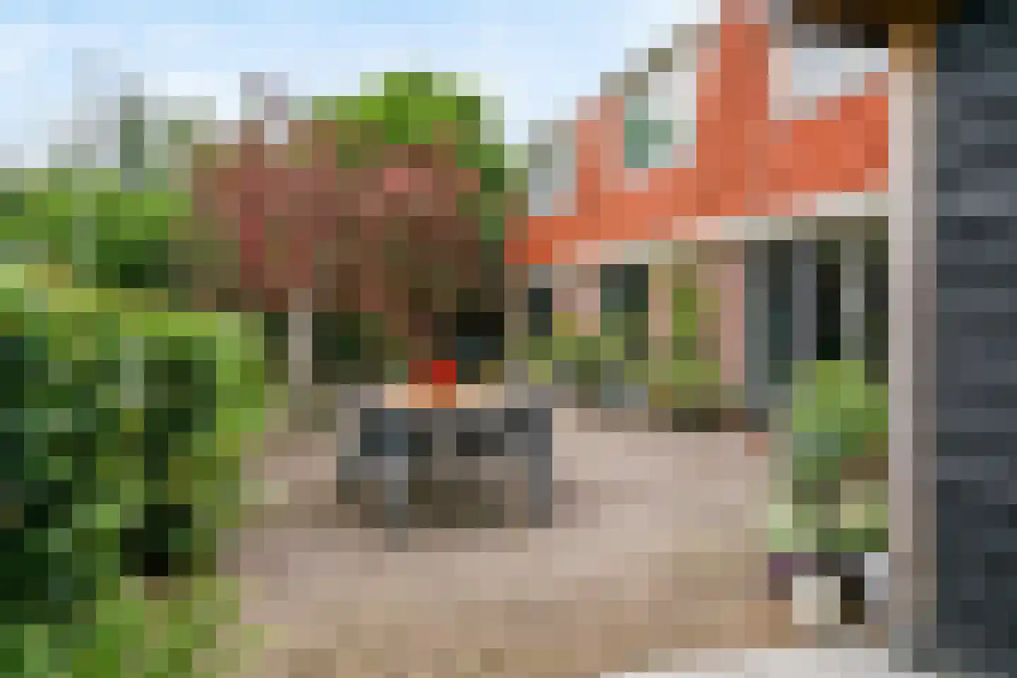Visweg 2 c Limmen thumbnail 53