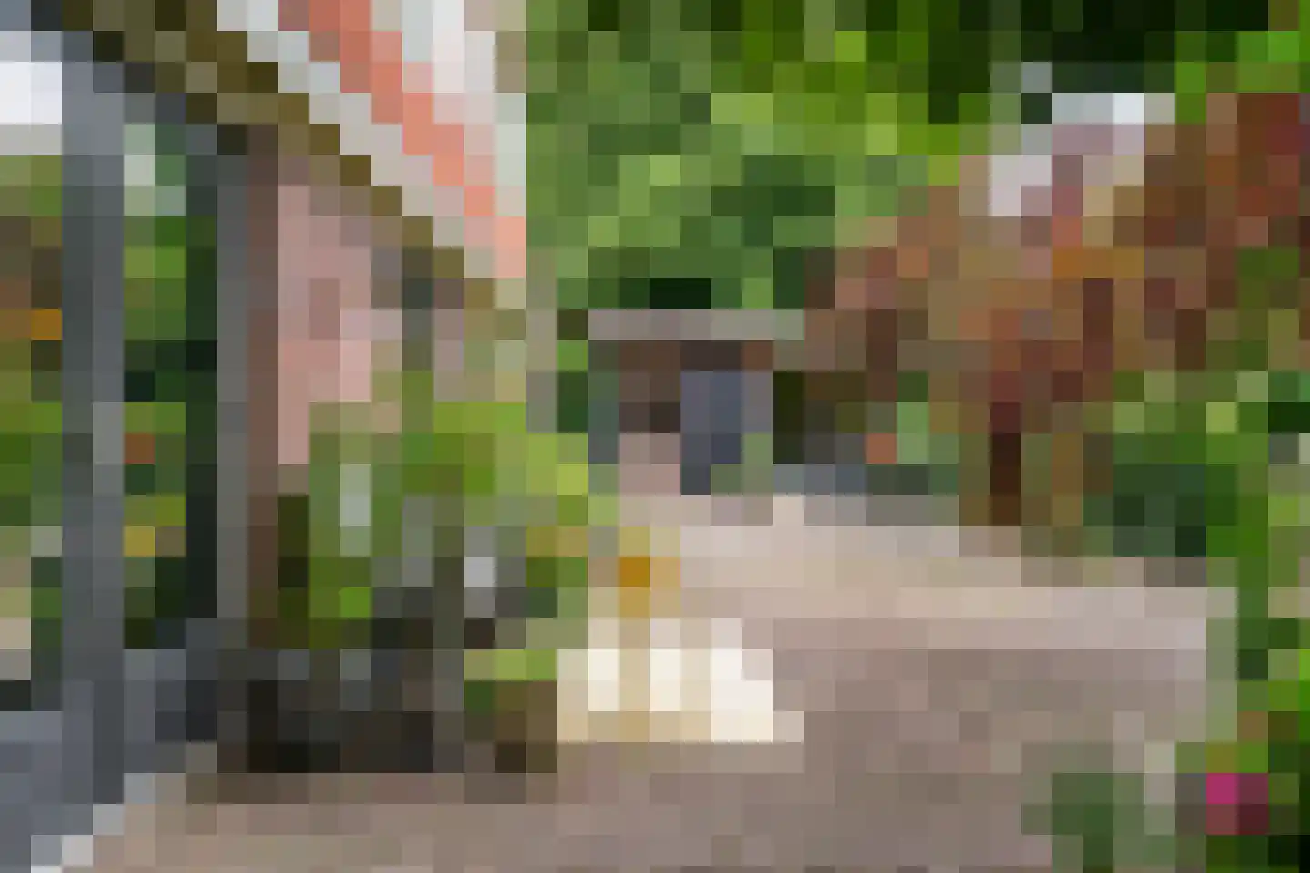 Visweg 2 c Limmen thumbnail 56