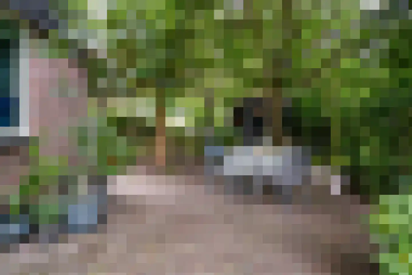 Visweg 2 c Limmen thumbnail 57