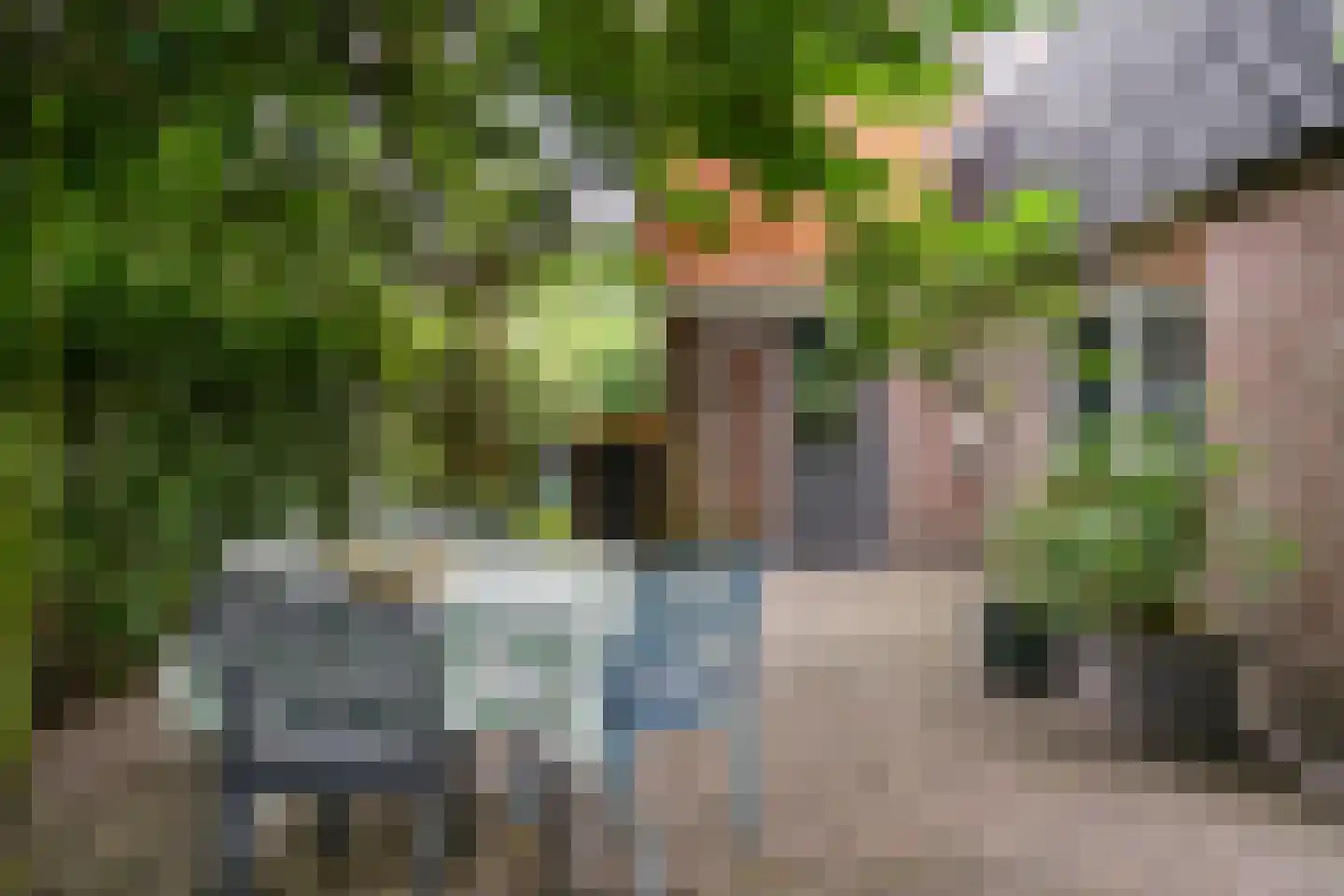 Visweg 2 c Limmen thumbnail 58