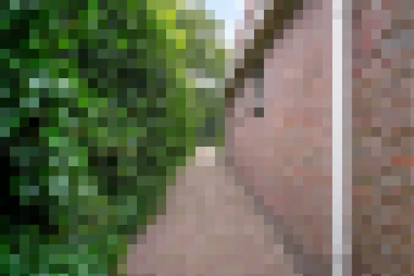 Visweg 2 c Limmen thumbnail 59
