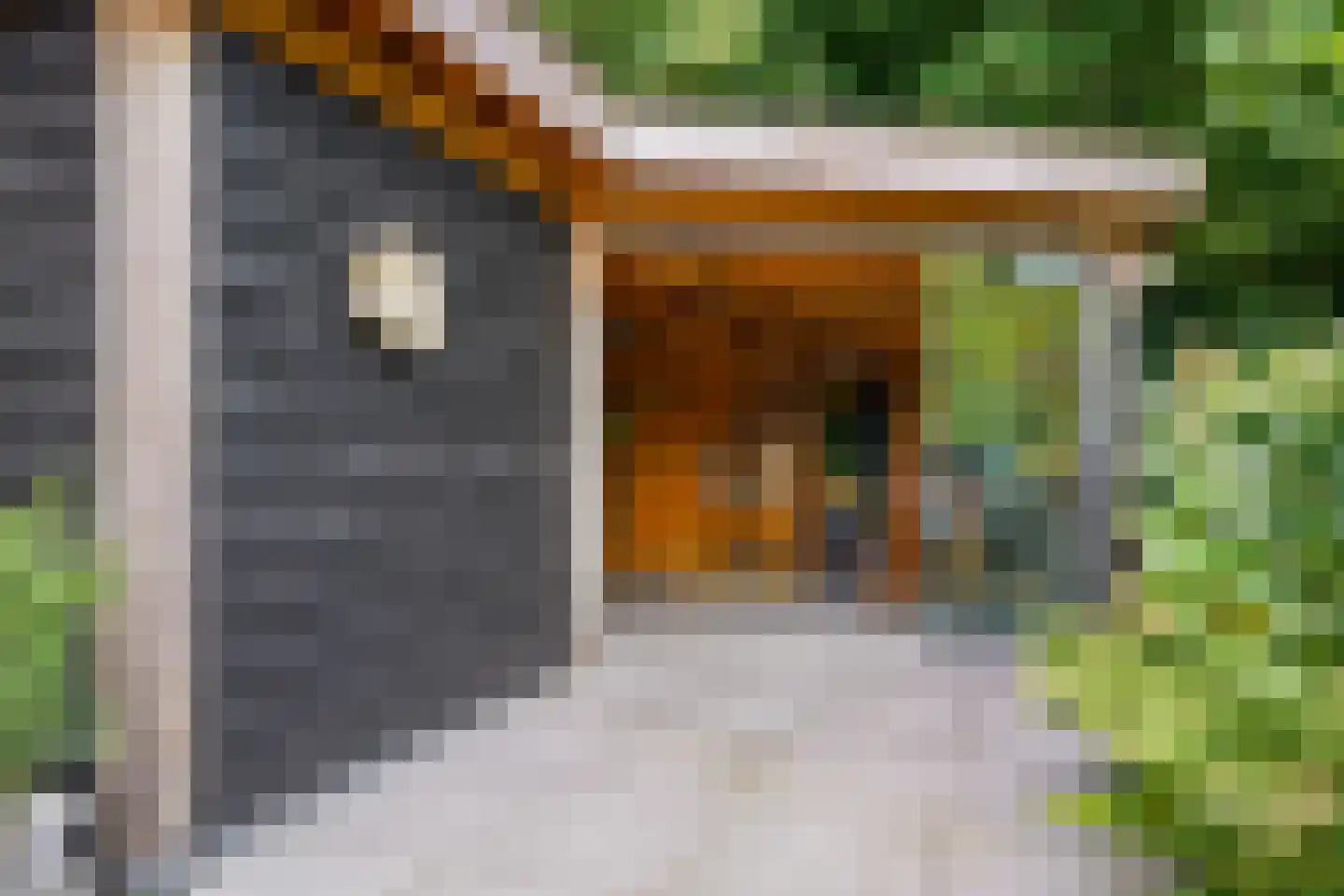 Visweg 2 c Limmen thumbnail 62