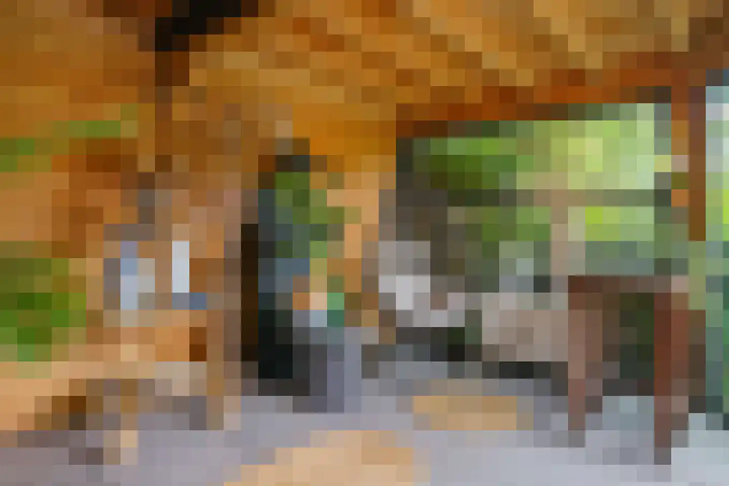 Visweg 2 c Limmen thumbnail 64