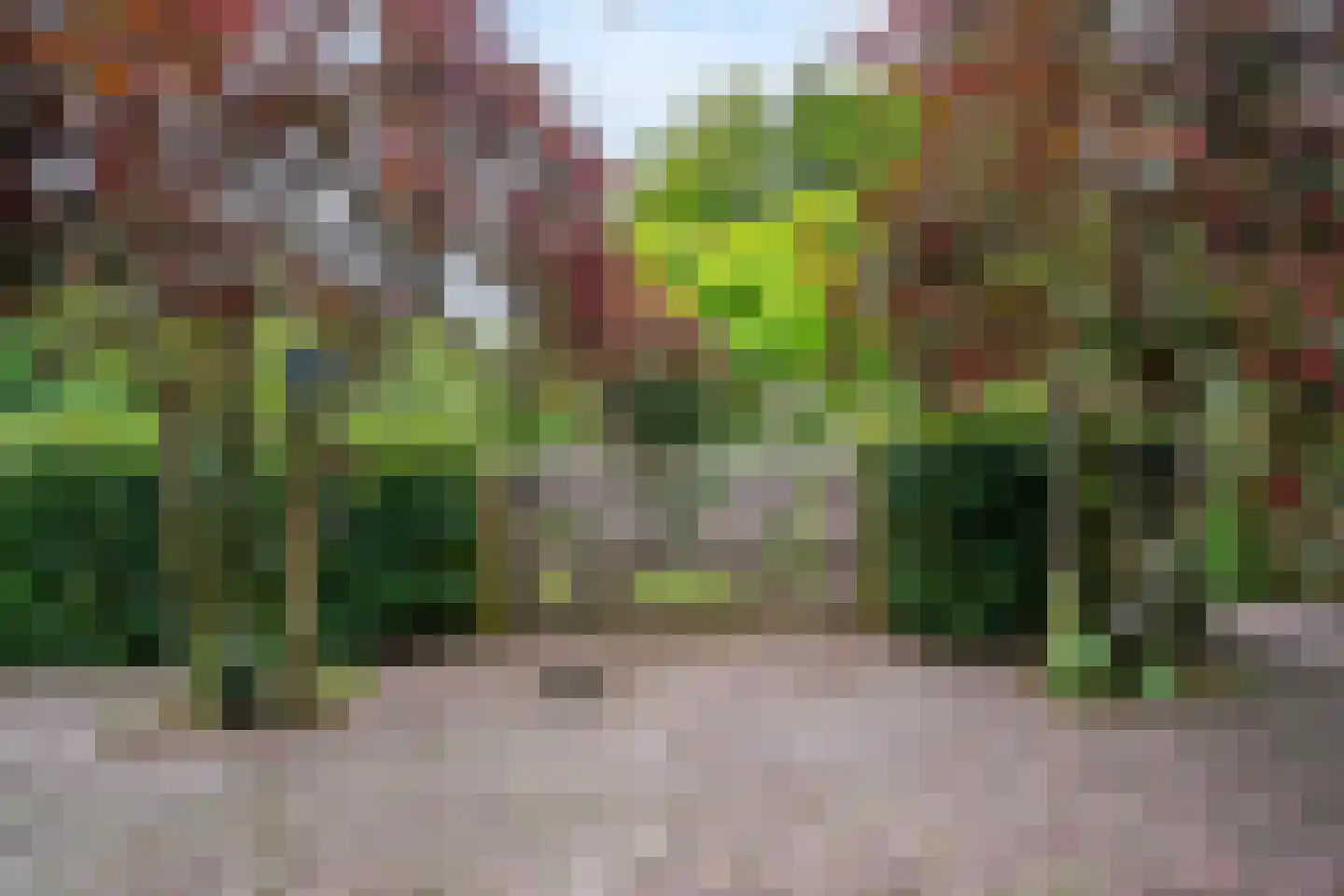 Visweg 2 c Limmen thumbnail 68