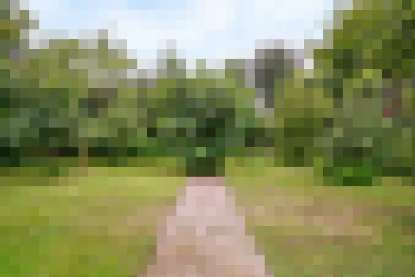 Visweg 2 c Limmen thumbnail 69