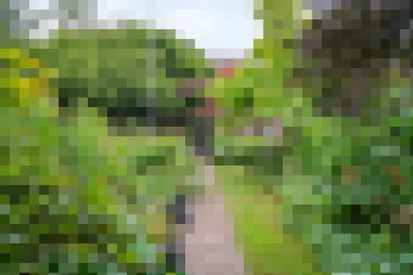 Visweg 2 c Limmen thumbnail 71