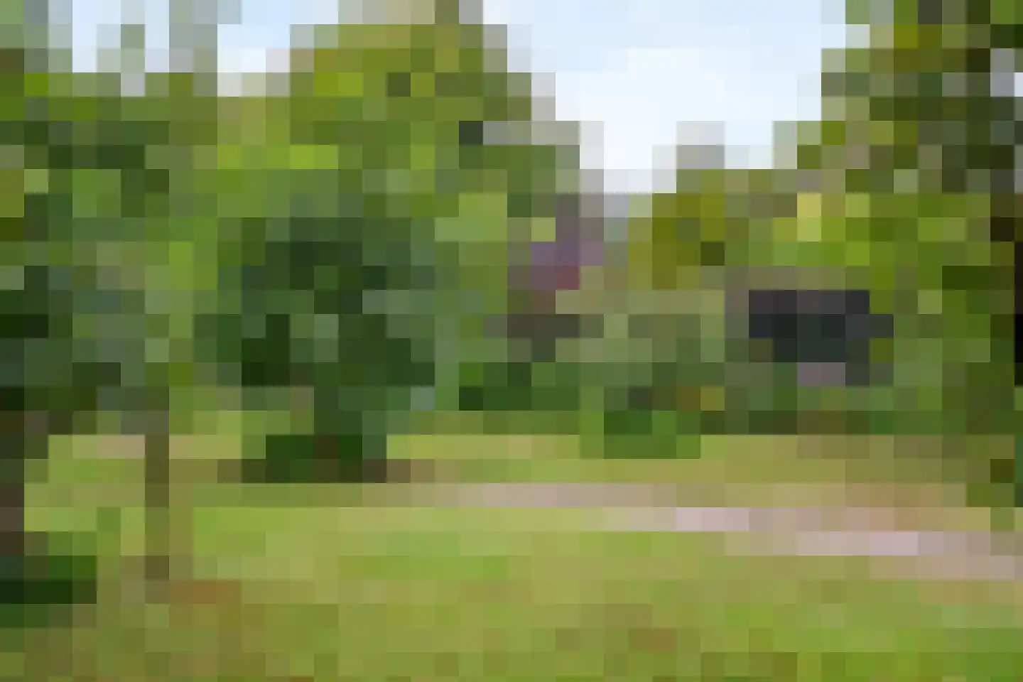 Visweg 2 c Limmen thumbnail 73