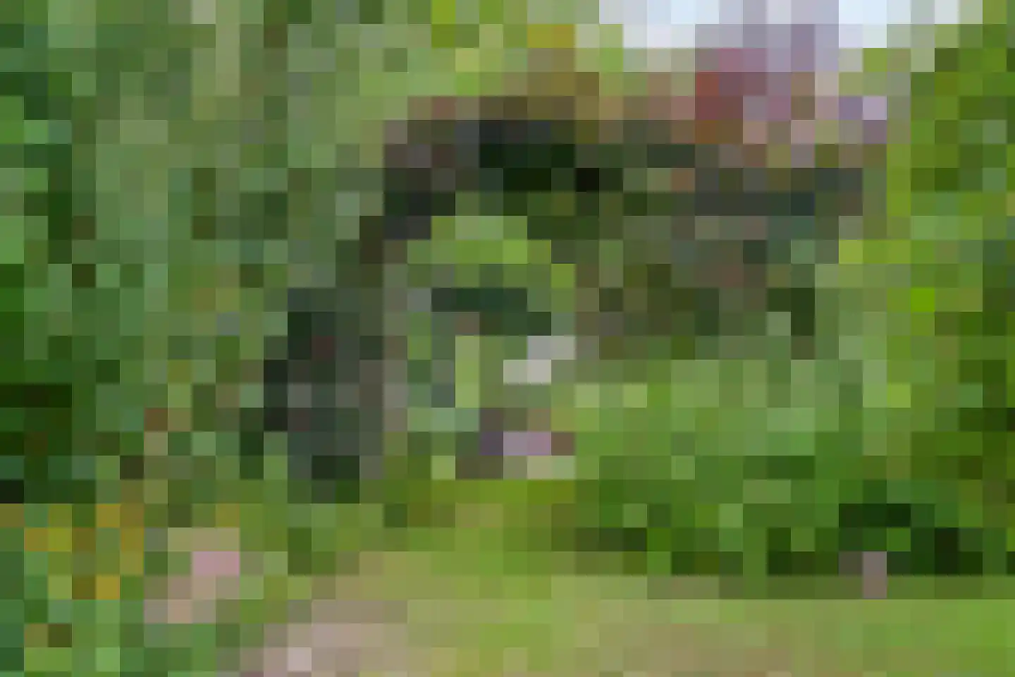 Visweg 2 c Limmen thumbnail 74