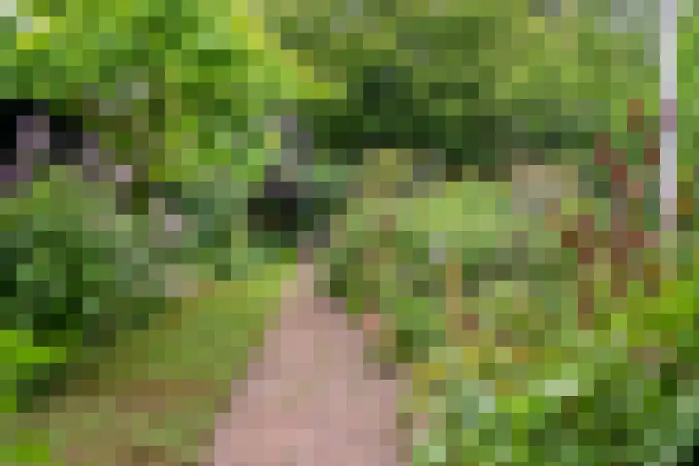 Visweg 2 c Limmen thumbnail 75