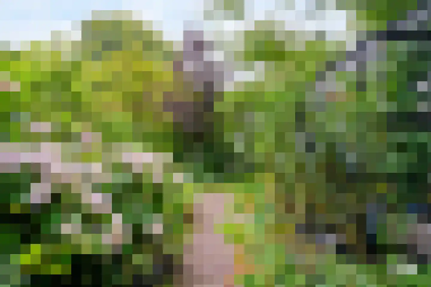 Visweg 2 c Limmen thumbnail 76