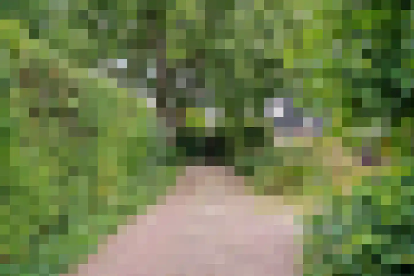 Visweg 2 c Limmen thumbnail 8
