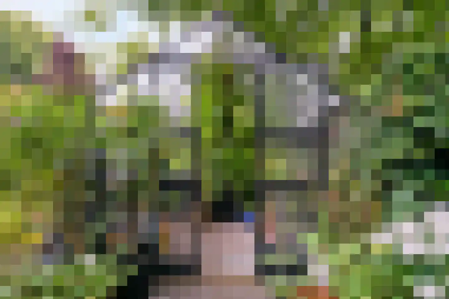 Visweg 2 c Limmen thumbnail 80