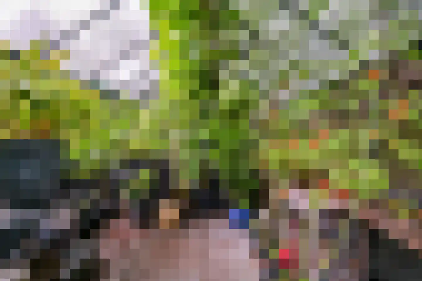 Visweg 2 c Limmen thumbnail 81