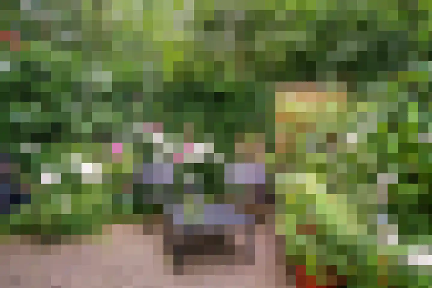 Visweg 2 c Limmen thumbnail 84