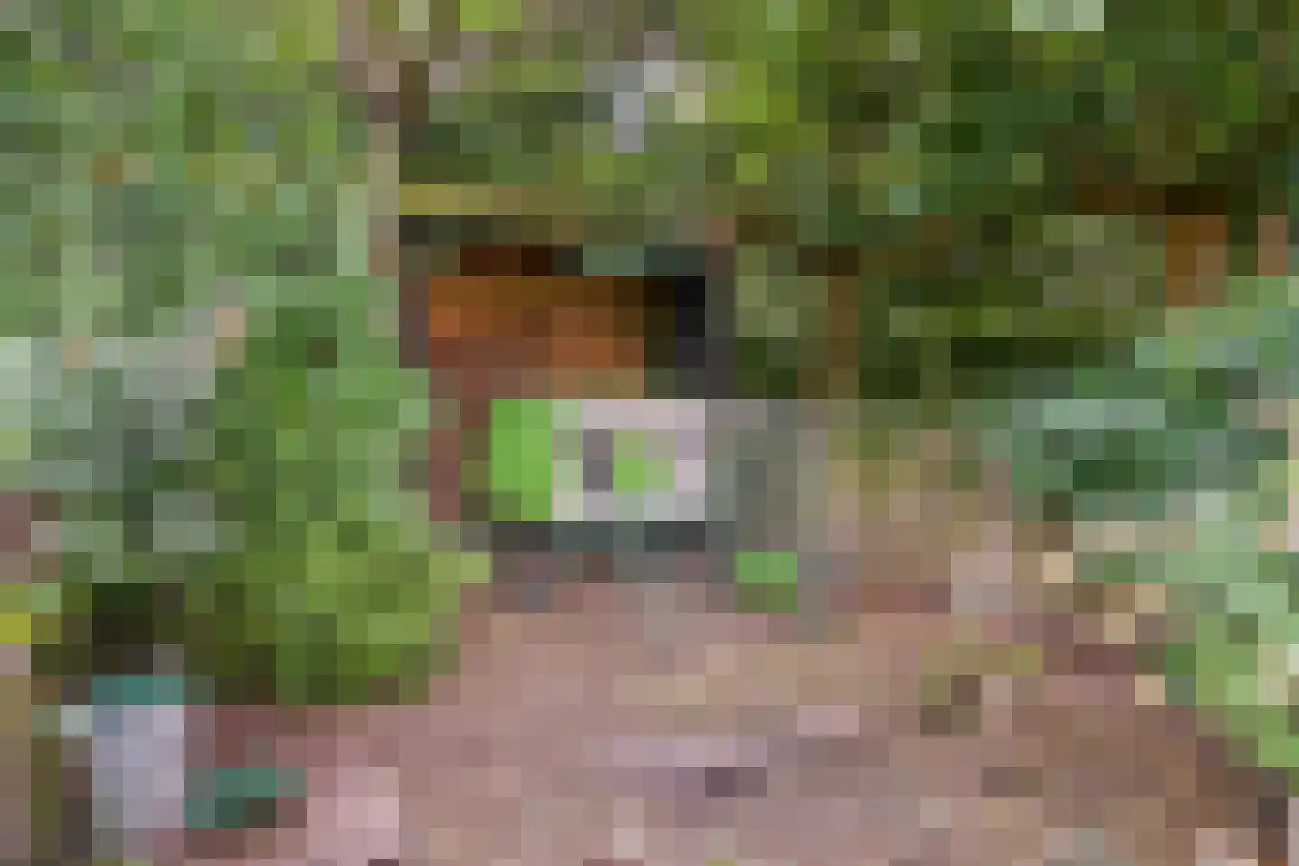 Visweg 2 c Limmen thumbnail 85